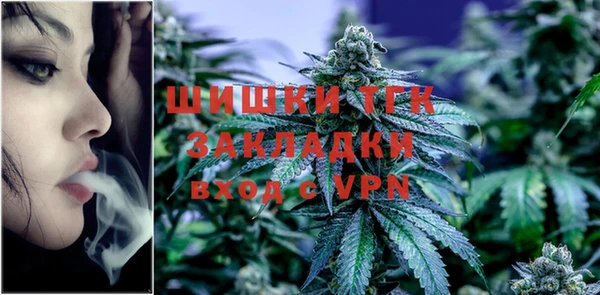 индика Армянск