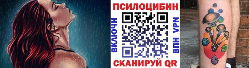 что такое   Аткарск  Псилоцибиновые грибы мицелий 